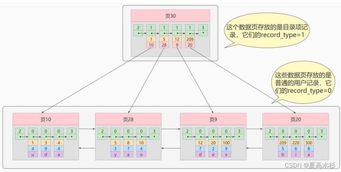 MySQL高級篇 索引數據結構與InnoDB存儲結構深度解析
